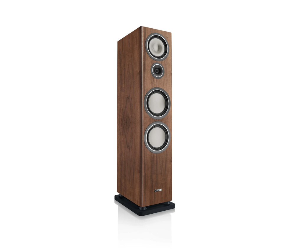 Canton Townus 100 Walnut